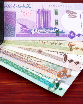 العملات الوطنية