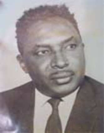 مأمون احمد بحيري