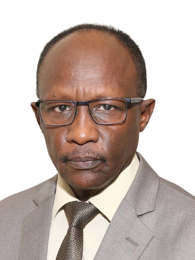 برعي الصديق علي احمد