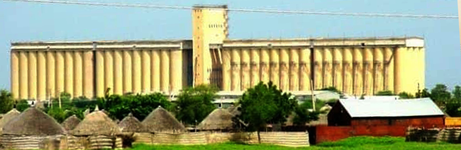 El Gadarif Branch ,Adel Fadlallah Al-Sheikh