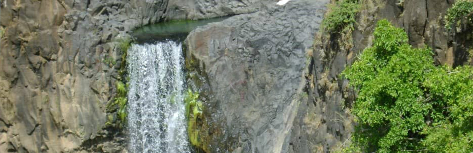 Zalingei Branch