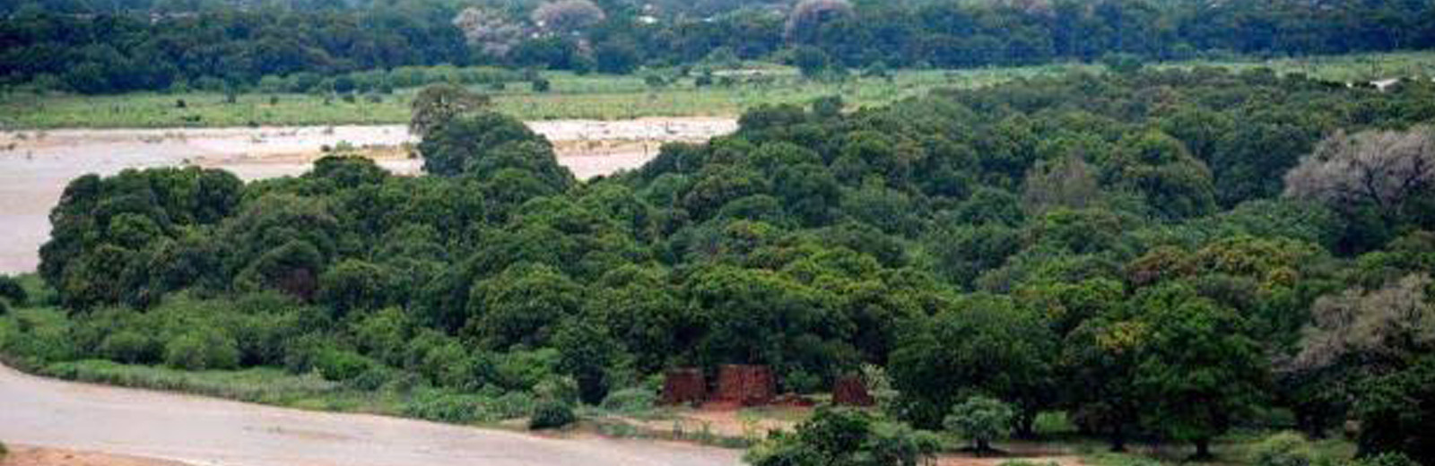 Nyala Branch